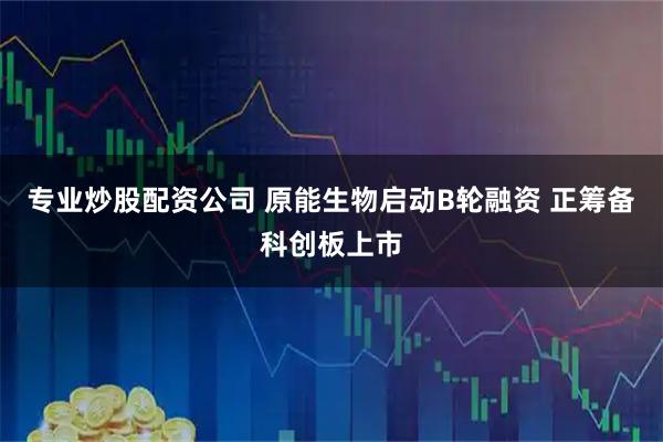 专业炒股配资公司 原能生物启动B轮融资 正筹备科创板上市