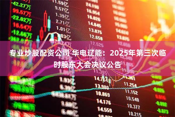 专业炒股配资公司 华电辽能：2025年第三次临时股东大会决议公告